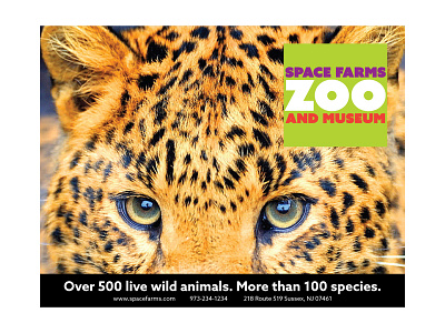 Space Farms Rebranding Ad 3 ad ad campaign advertisement advertising animal animals brand branding jaguar rebrand rebranding space farms space farms zoo and museum wild zoo