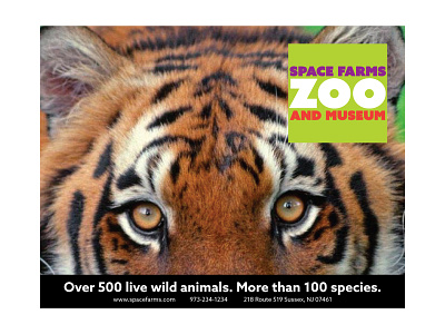 Space Farms Rebranding Ad 2 ad ad campaign advertisement advertising animal animals brand branding rebrand rebranding space farms space farms zoo and museum tiger wild zoo