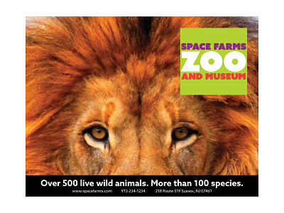 Space Farms Rebranding Ad 1 ad ad campaign advertisement advertising animal animals brand branding lion rebrand rebranding space farms space farms zoo and museum wild zoo