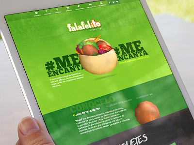 falafelito website landing page website