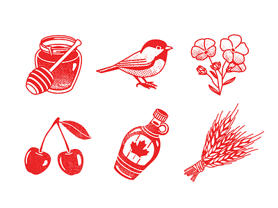 Canada travel book bird bird illustration bottle canada cherry flowers honey maple vector