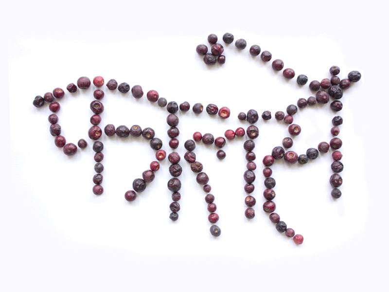 फालसे | Phalsa | Indian Purple berries hindi devnagari artoftype berries food type typography fruits summer