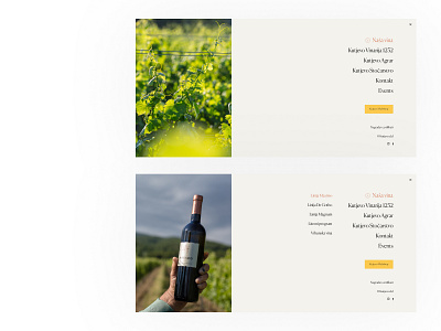 More shots, more wine design e commerce inspiration ui user interface web webshop
