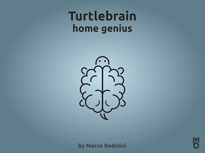 Logo: Turtlebrain branding design logo