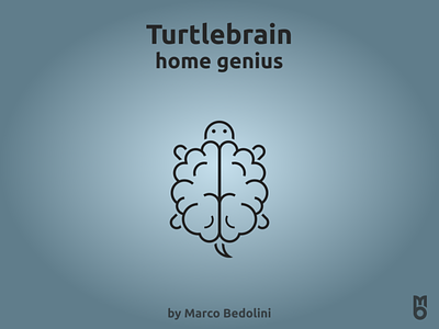 Logo: Turtlebrain