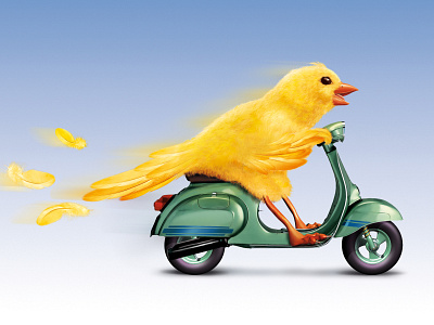 Scooter Bird illustration key visual photoshop retouching