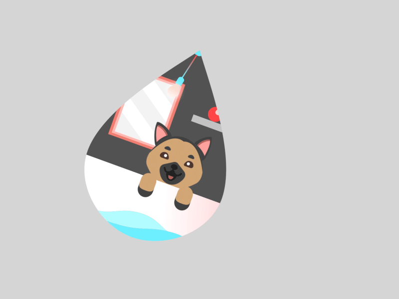 Doggy bath red blue water bathing bath animal shepherd cute dog ball anim loop after affects motion design motion illustration design flat animation 2d