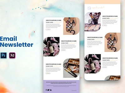 Email Newsletter catalog design design email email newsletter email templete graphic design newsletter