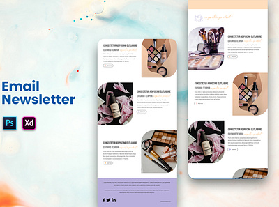 Email Newsletter catalog design design email email newsletter email templete graphic design newsletter