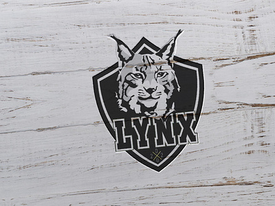 LYNKS branding design illustration illustrator logo logodesign logos vector vintage