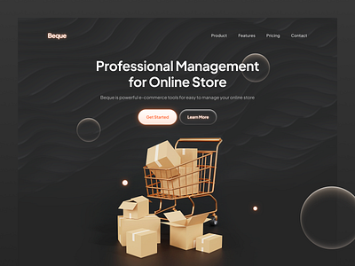 Landing Page - Online Store