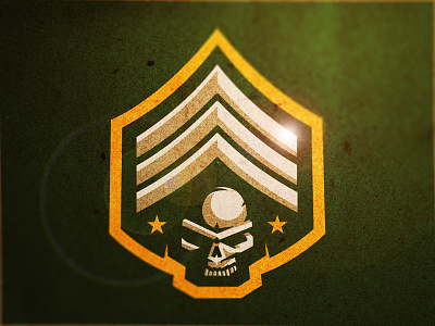 Brigade branding insignia military skull