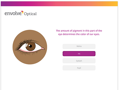 Envolve Optical - Quiz User Selects Answer css3 design html5 ui web