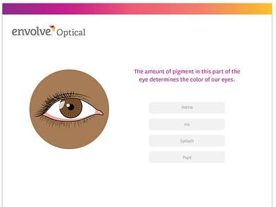 Envolve Optical - Quiz Multiple Choice Answers css3 design html5 ui web