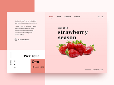 Strawberry - Golden Rectangle Composition golden ratio grid grid layout landing page layout layout design sketchapp strawberry ui