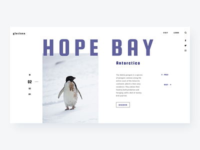 Hope Bay antarctica clean graphics grid layout layout minimal penguin typography ui web design