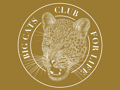 Big Cats Club Leopard Sticker badge badgedesign design hand lettering illustration jungle leopard lettering logo safari sticker sticker design sticker mule typography vector