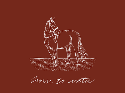 Horse To Water delicate design hand lettering hatching horse horse illustration illustration lettering lineart lyrics