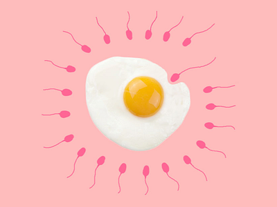 This is how you get pregnant! egg graphic handdraw illustration ovulation pink pregnancy sperm