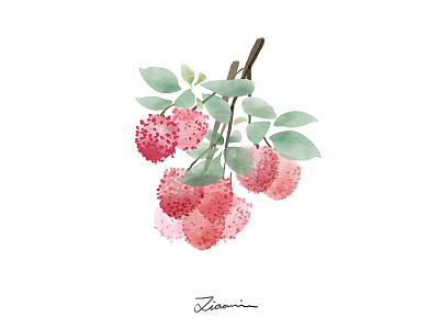 Lychee