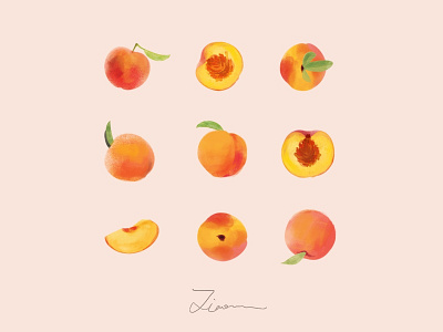 Peach fruits illustration peach pinky summery
