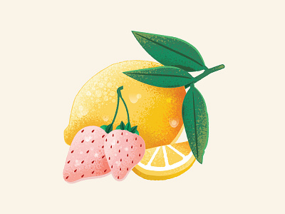 Fruit Illustrations Pt. 1 by Adam Grason on Dribbble