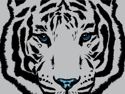 DBH 10,000 blue dbh illustration tiger