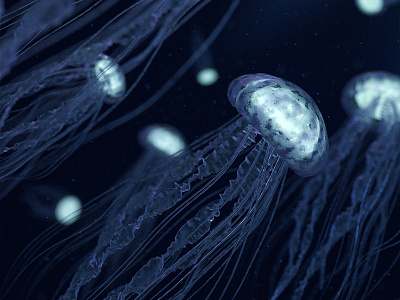 Jellyfish 3d animal blue design jellyfish nature sea underwater