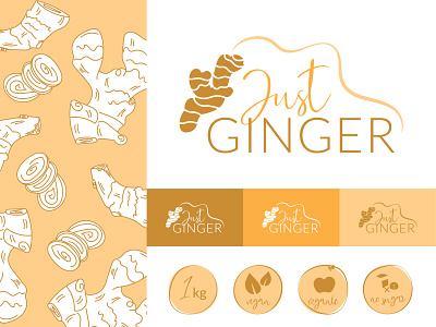 Logo & Branding Concept design for a natural ginger brand