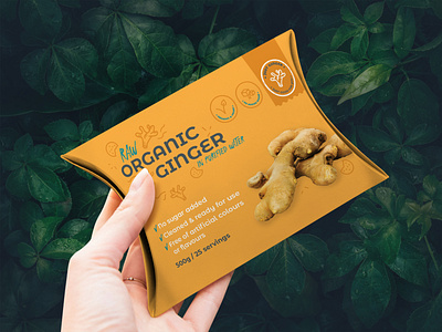 Logo and Packaging Concept for a natural ginger brand