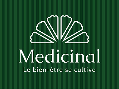 Medicinal Logo - A natural supplement brand logo project adobe illustrator cc floral logo flower logo geometric design line logo logo logo project supplement supplements logo