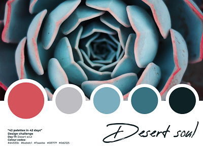 Design Challenge - 42 palettes in 42 days | Day 17 42 42 days 42 palettes 42 palettes in 42 days aqua black color color palette colour palette daily challenge design challenge designchallenge dribbble design challenge free resource gray grey pink teal