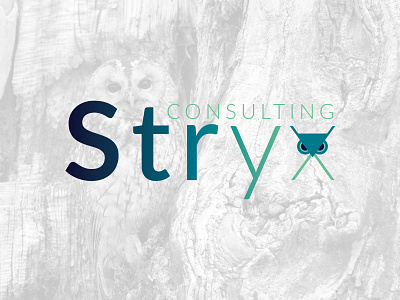 Stryx Consulting Logo branding consulting logo logo logo brand mark logo design logo design branding owl logo