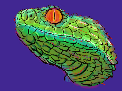 Snakehead illustration procreate app