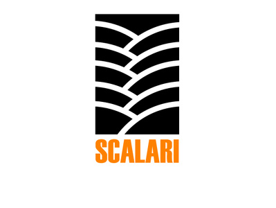 Scales Test branding design illustration illustrator logo