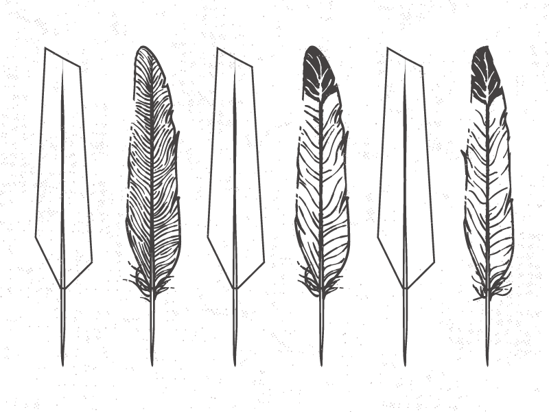 Tjincognito feathers dribbble