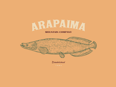 ARAPAIMA animals branding design fish illustration logo nature pez river