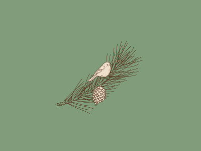 Little Cipres bird classic design designs engraving illustration logo logodesign natural nature illustration nature logo retro tree