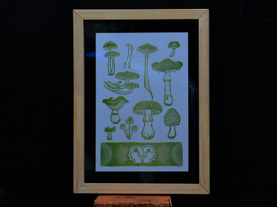 Mushroom kingdom botanical branding fungi fungus illustratiobotanical illustration mushroom nature plants print printnature risograph