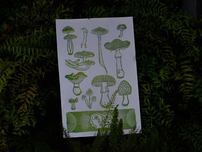 Mushroom kingdom botanical branding fungi fungus illustration mushroom nature print printnature risograph