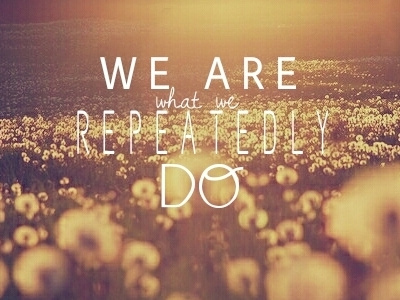 we are what we repeatedly do cursive graphics photography quotes typography