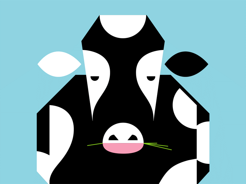 Branding animation brand branding cow gif illustration