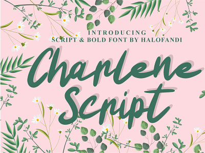 Charlene Script alphabet bold calligraphic calligraphy font handwritten letter lettering script type typography