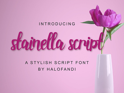 Stainella Script Font design font hand art handwriting letter script template type wedding