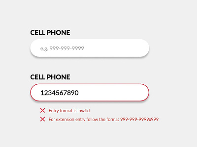 Phone Number Validation Concept design flat minimal ui