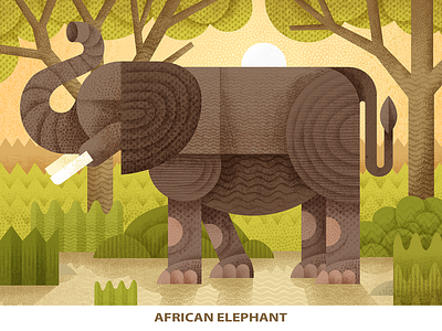 African Elephant