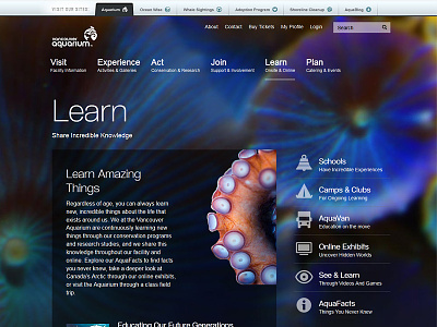 Vancouver Aquarium Learn Section hierarchy icons marine life simple smashlab typography vancouver aquarium web design website