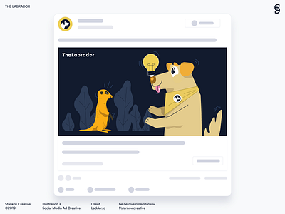 Illustration + Social Media Ad Creative