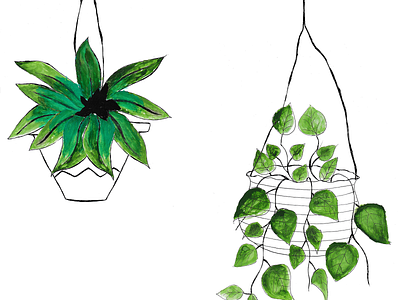 Plants artwork behance digitalart dribbble graphicdesign green home illustration illustration art illustrations line line art linework may paint paper plants spring visual art