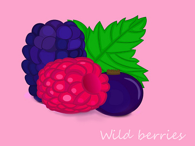 Wild Berries berry illustrator vector иллюстрация